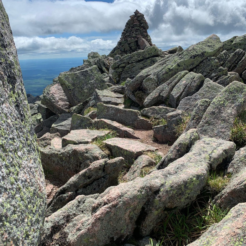 peak of mount Katahdin lichen on the rocks moss, lichen and liverwort 