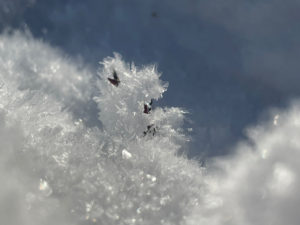 maine is a winter wonderland frost from freezing mist winter 2022