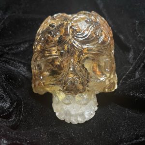 turkey tail mushroom resin crystal skull candle holder