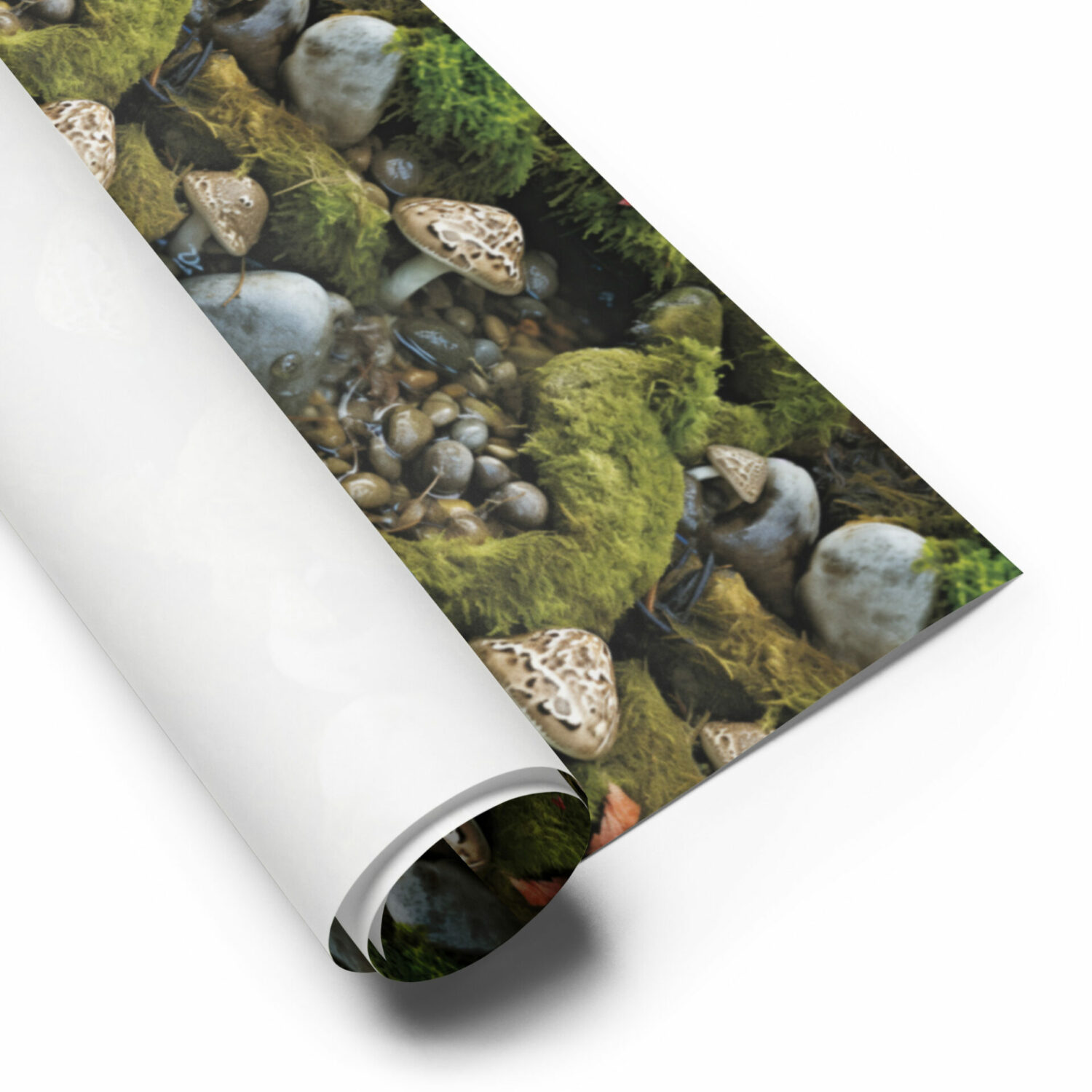 Mushroom wrapping paper sheets