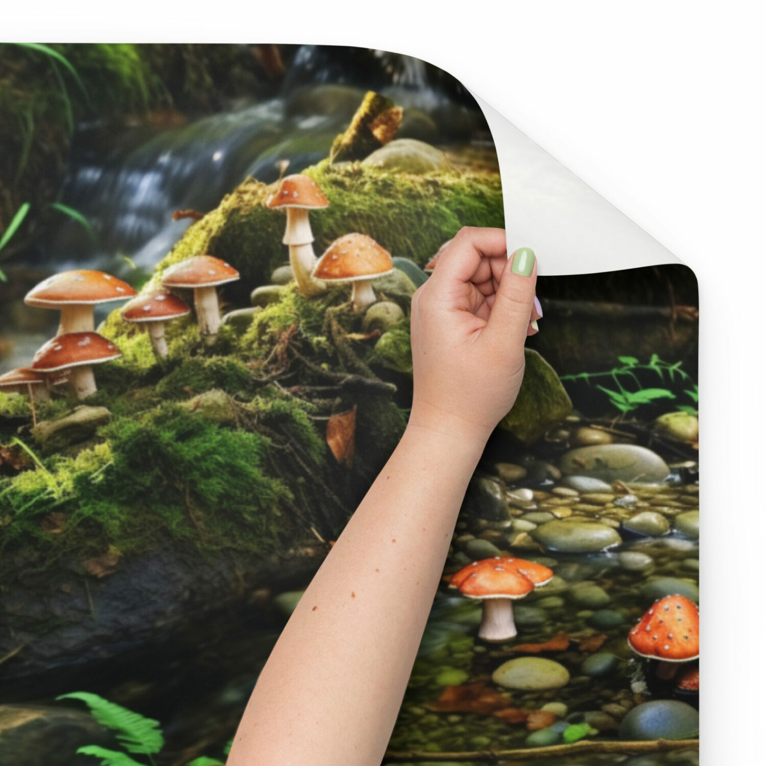 Mushroom wrapping paper sheets